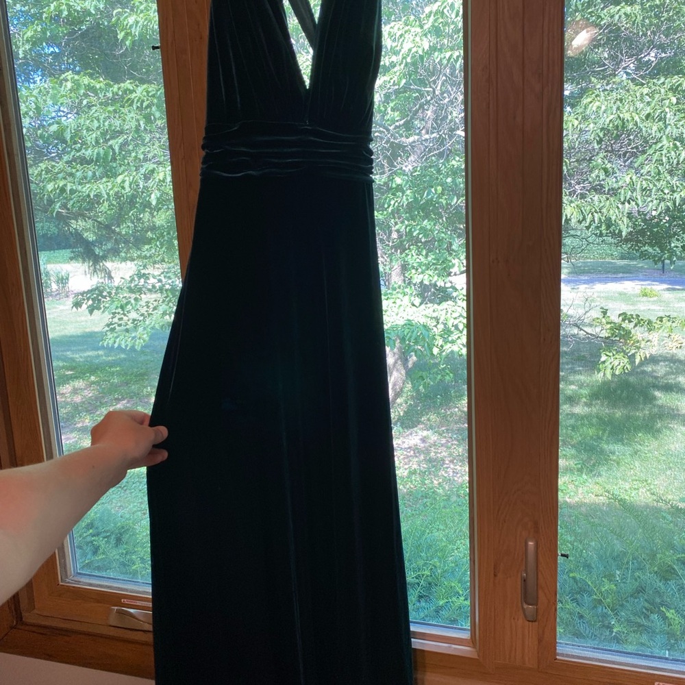 Revelry Velvet Dress